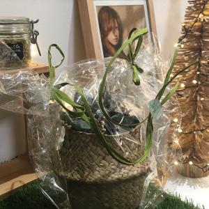 Photos de Aroma c fournies par le propriétaire