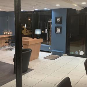 Photos de Salon fabien brisset soumises par les membres 