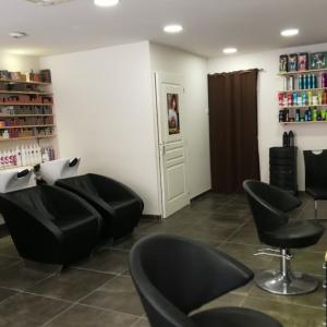 Photos de L'art & la matière soumises par les membres 