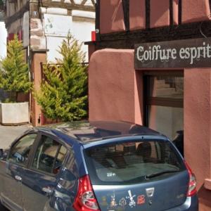 Photos de Coiffure esprit nature soumises par les membres 