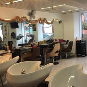 Photos de Friz'lys soumises par les membres 