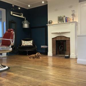 Photos de Guillaume soumises par les membres 