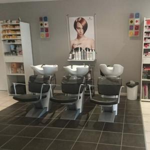Photos de L'univ'hair de la coiffure soumises par les membres 