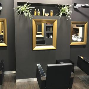 Photos de Catogan soumises par les membres 