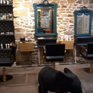 Photos de Canopee coiffure soumises par les membres 