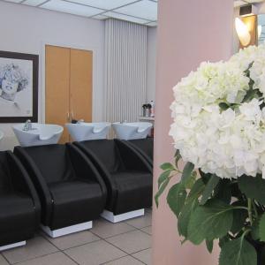 Photos de Joaquim daniel soumises par les membres 