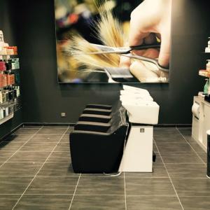 Photos de David & son soumises par les membres 