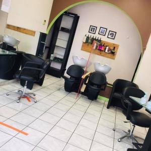 Photos de T n b coiffure soumises par les membres 