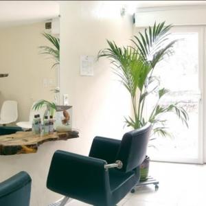 Photos de Tendance natura soumises par les membres 