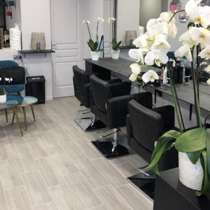 Photos de Le salon d'auteuil soumises par les membres 