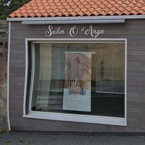 Photos de Salon o d'ange soumises par les membres 