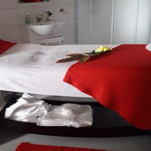 Photos de Amanda coiffure et esthetique soumises par les membres 