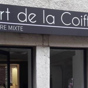 Photos de L'art de la coiffure soumises par les membres 