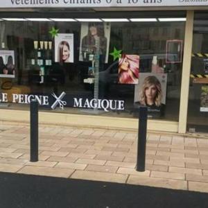 Photos de Le peigne magique soumises par les membres 