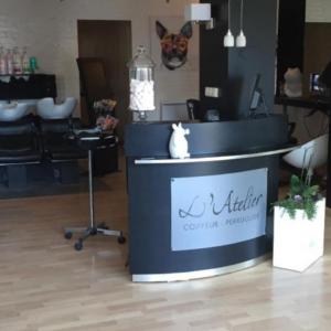 Photos de L'atelier soumises par les membres 