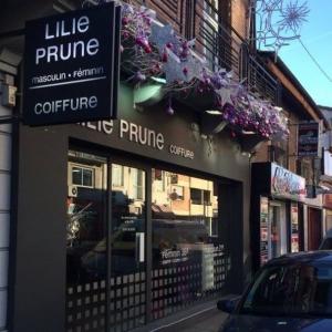 Photos de Lili prune soumises par les membres 