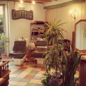 Photos de Salon de cauvigny soumises par les membres 