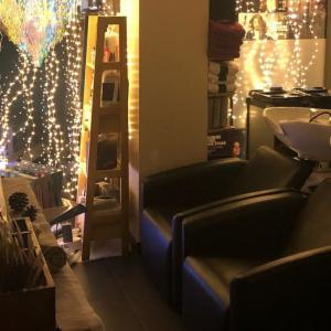 Photos de C.koya soumises par les membres 