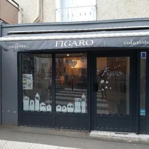 Photos de Figaro (sarl) soumises par les membres 