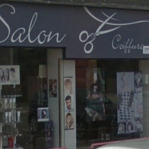 Photos de Coiffure delamillieure audrey soumises par les membres 