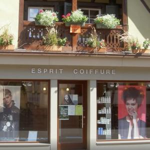 Photos de Esprit coiffure soumises par les membres 