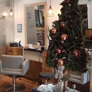 Photos de Enzo 2 soumises par les membres 