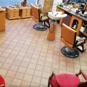 Photos de Le peigne fin soumises par les membres 