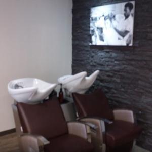 Photos de Salon olivier soumises par les membres 