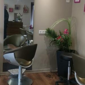 Photos de Hair'beauty soumises par les membres 