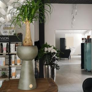 Photos de De mèches avec vous soumises par les membres 