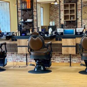 Photos de La barbe du lion soumises par les membres 