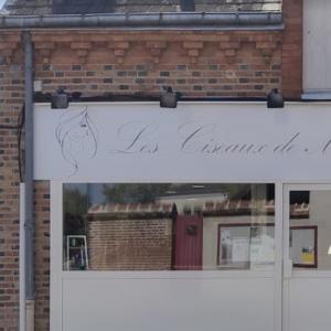 Photos de Les ciseaux de marine soumises par les membres 