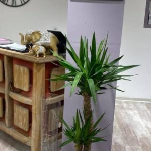 Photos de Agape coiffure soumises par les membres 