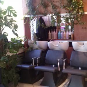 Photos de Tiki coiffure soumises par les membres 