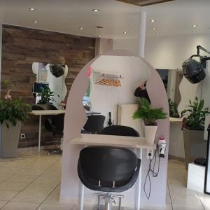 Photos de Carmen création soumises par les membres 