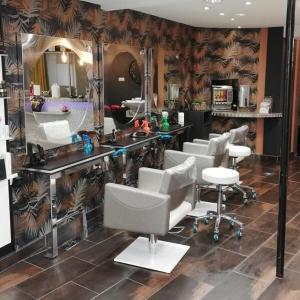 Photos de Lynx soumises par les membres 