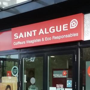 Photos de Saint algue l.c. coiffure soumises par les membres 