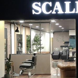 Photos de Scalp-ciliento soumises par les membres 