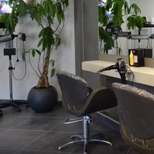 Photos de David & son soumises par les membres 