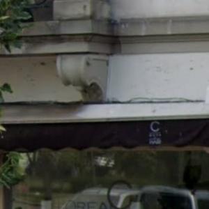 Photos de C dans l'hair soumises par les membres 