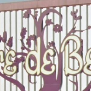 Photos de L arbre de beaute soumises par les membres 