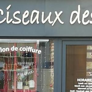 Photos de Aux ciseaux des fees soumises par les membres 