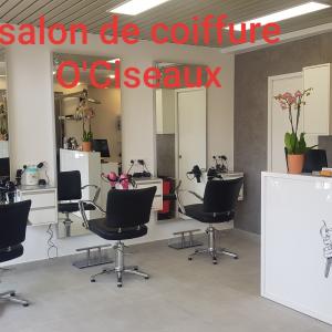 Photos de O'ciseaux soumises par les membres 