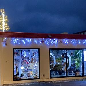 Photos de L epi tete soumises par les membres 