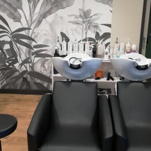 Photos de Salon evolu tifs soumises par les membres 