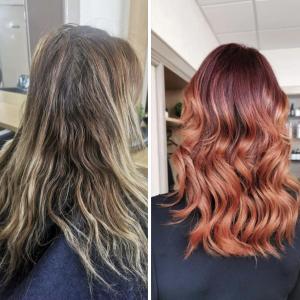 Photos de Caméléon coiffure (le) soumises par les membres 