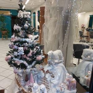 Photos de Salon isabelle soumises par les membres 