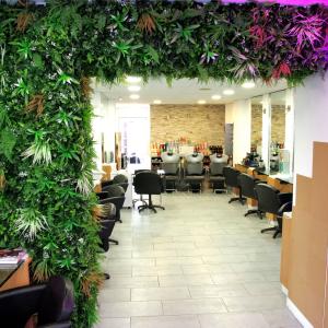 Photos de Owa colors soumises par les membres 