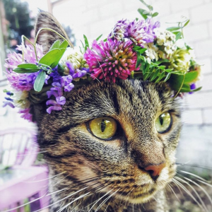 Photos de Colette coiffure enregistrées avec une avis
