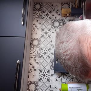 Photos de Pascal coste coiffure enregistrées avec une avis